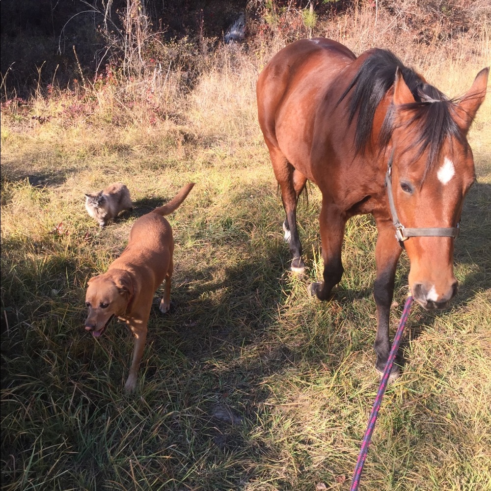 Meet your Posher, Teryn